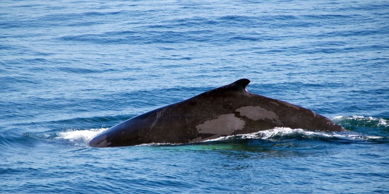 HeadlineImage