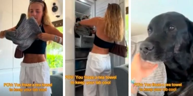 La estrategia de una mujer para aliviar a su perro del calor es viral