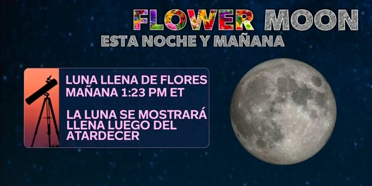Mayo iniciará con la 'luna llena de flores' (o 'luna de leche')