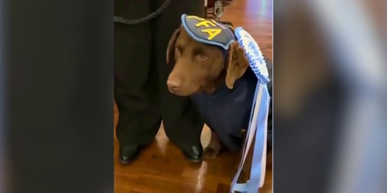 Oficial canina recibe un reconocimiento por su trayectoria en Argentina 