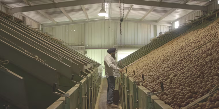 Karm Bains explains how his father, Didar Singh Bains, become known as the \"Peach King,\" and how the legacy his father created lives on through the Sikh community in Yuba City, California, and beyond.