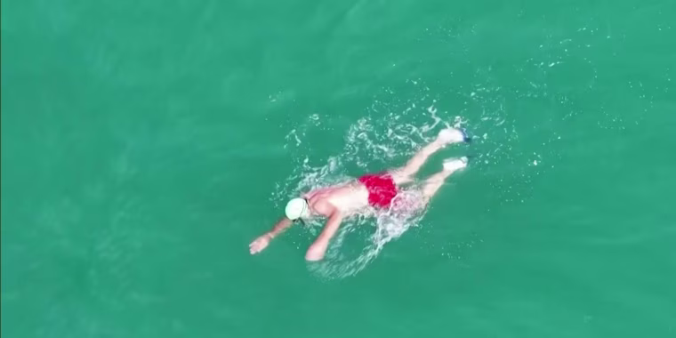 Dron capta a tiburón blanco rodeando a un nadador que no lo notó