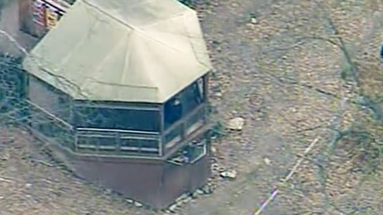 Boy mauled by African painted dogs at zoo