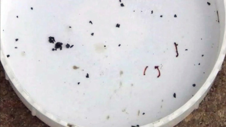 Red worms found in drinking water supply for Oklahoma town