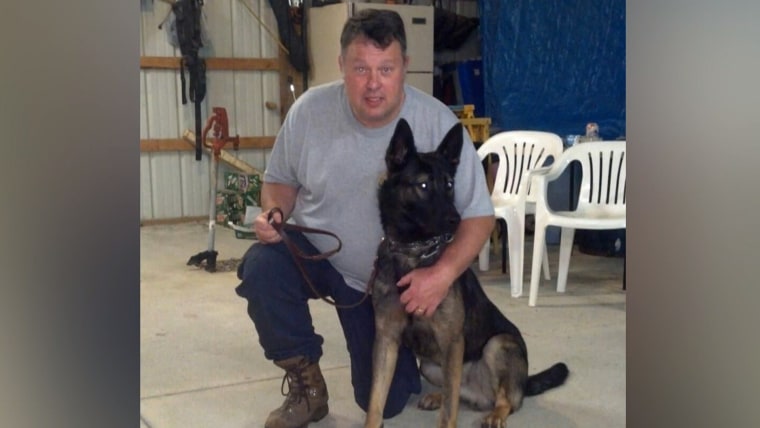 Ex police dogs for sale discount