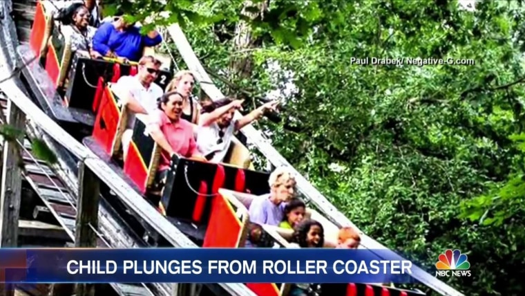 Boy Falls Off Roller Coaster at Idlewild Theme Park, Rushed to Hospital