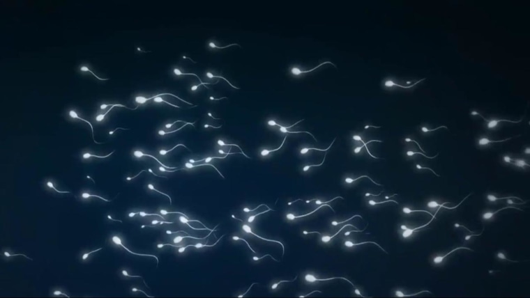 Men Significantly Less Fertile Than 40 Years Ago, Study Finds