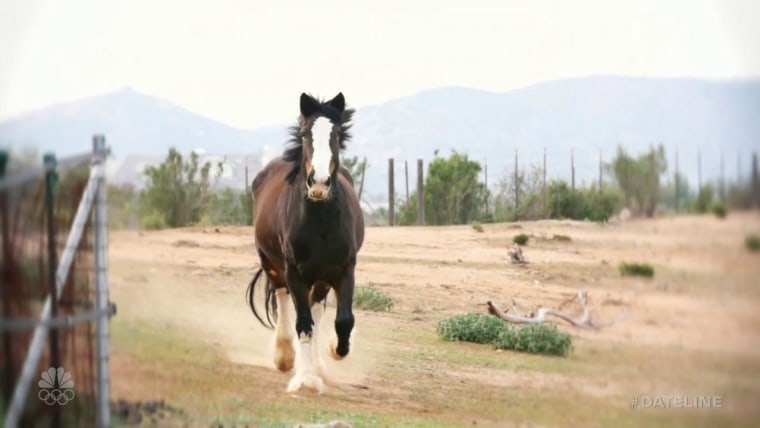 Inferno: A Dateline Survivor Story, Part 10