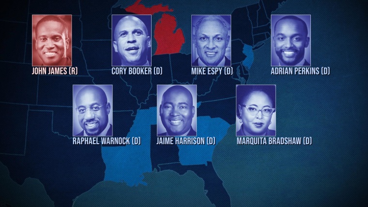 Tujuh kandidat kulit hitam bersaing memperebutkan kursi Senat dalam pemilihan bersejarah