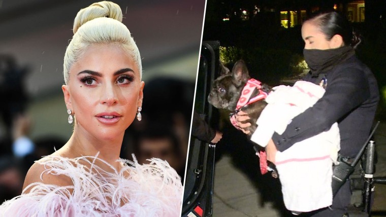 Lady charged in reference to dognapping Girl Gaga’s pets sues her for 0,000 reward