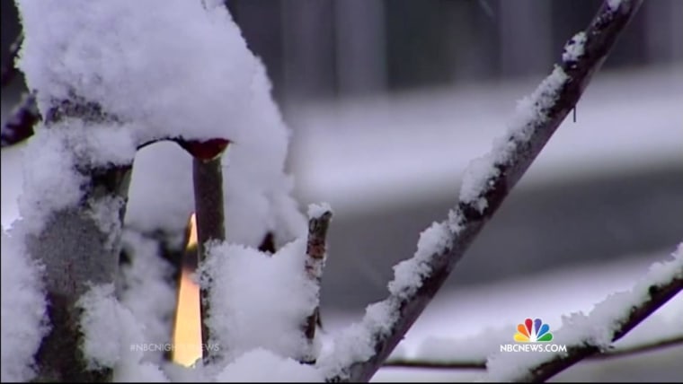 Snow, Rain and Wind Make for Wild Weather Across the Nation