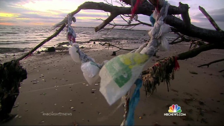 Report: Ocean Is Filled With Trillions of Plastic Pieces