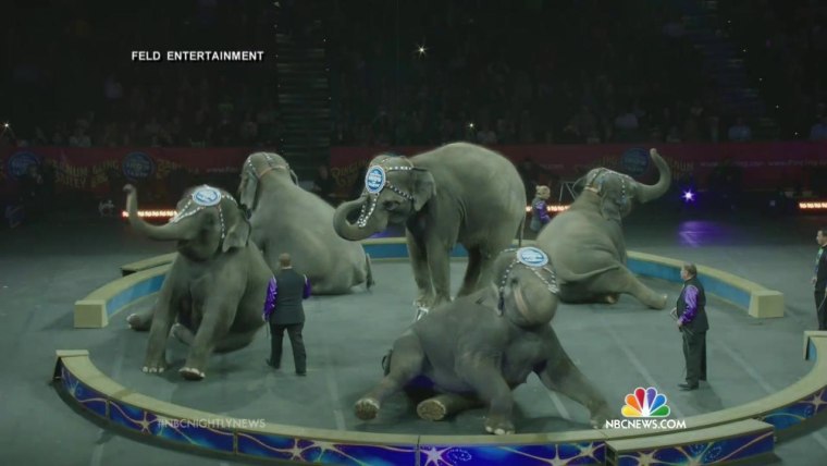 Ringling Bros. Circus Will Drop Its Elephant Acts by 2018