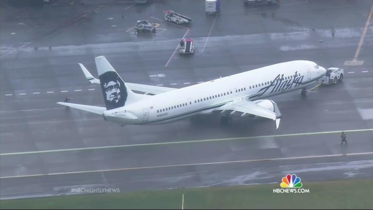 Employee Fell Asleep in Cargo Hold That Forced Emergency Landing