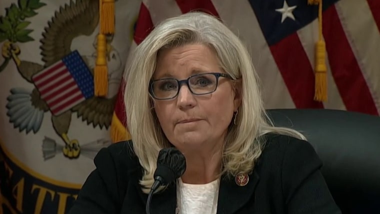 Rep. Liz Cheney facing Trump-backed opponent in Wyoming primary