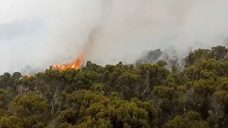 Fire breaks out high up on Kilimanjaro