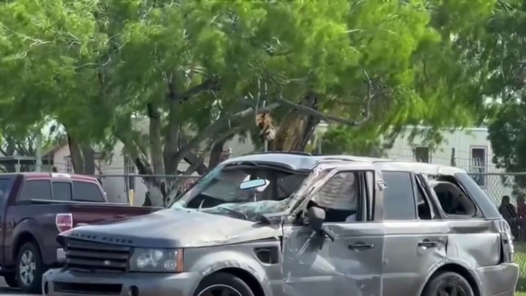 Man plows car into group of pedestrians near Texas shelter housing ...