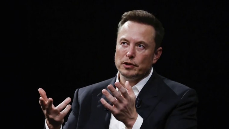 Elon Musk - Figure 1