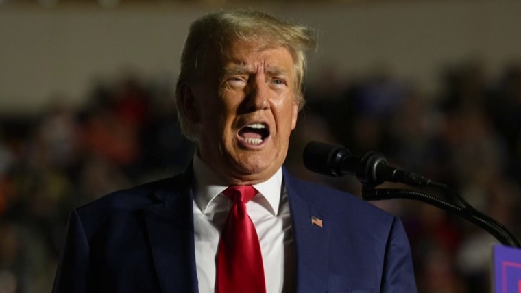 Trump Indictment: Fulton County Clerk Takes the Blame for Charging