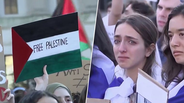 The War Against Palestinians on Campus Keeps Getting More Absurd