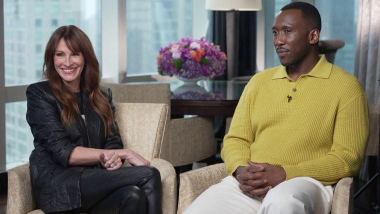 Julia Roberts Reveals the Movie She Regrets Passing On, Plus Two