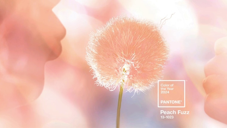 Pantone Color Of The Year 2024 Has Us Feeling Warm And Fuzzy