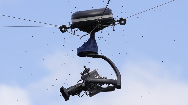 ‘Bee invasion’ stops game at tennis tournament in California