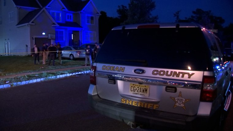 New Jersey mother accused of murdering her children appears in court