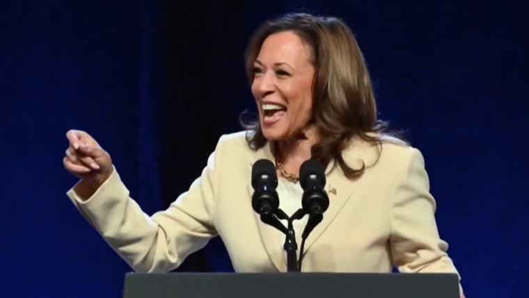 How social media is turning the Harris campaign into an internet meme