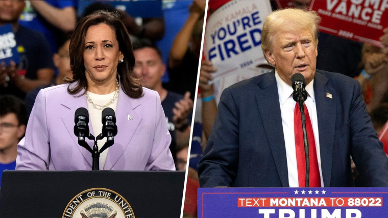 Harris leads Trump among likely voters in three swing staters