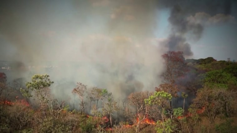 दक्षिण अमेरिका में रिकॉर्ड संख्या में आग लगी 1 1727140189462 now topstory fire south america 240923 1920x1080 p88fsk