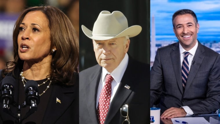 Georgia 2024 'early vote' smashes records, as Harris hits Trump with ...