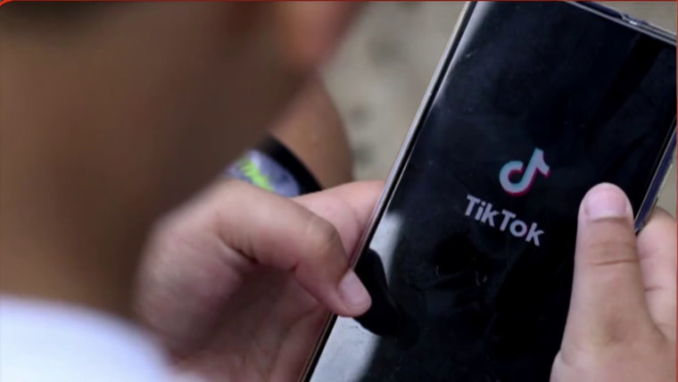 Investor group aiming to bid for TikTok explains how it would 