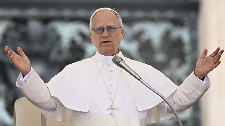 Pope Leo XIV calls for aid to reach Gaza in his first general audience