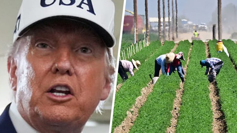 Soybean farmer blasts Trump amid trade war with China: 'Sold America's farmers out'