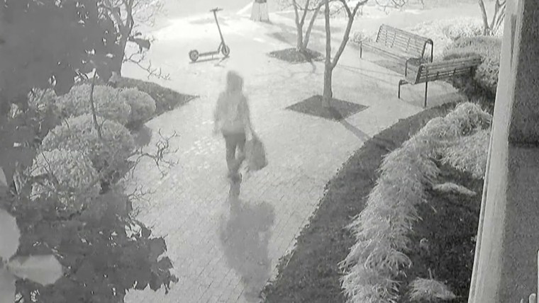 Nike shoe model provided clue in arrest of pipe bomb suspect