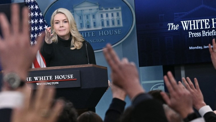 White House questioned on characterization of Minneapolis shooting at press briefing插图