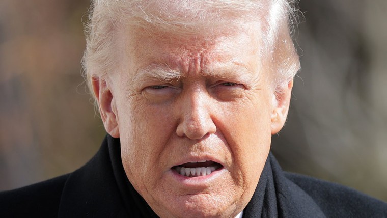 トランプ大統領、「名誉ある」プリティ銃撃事件の捜査を求める