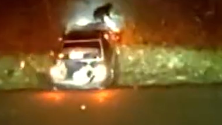 Dog flies through car windshield after police chase