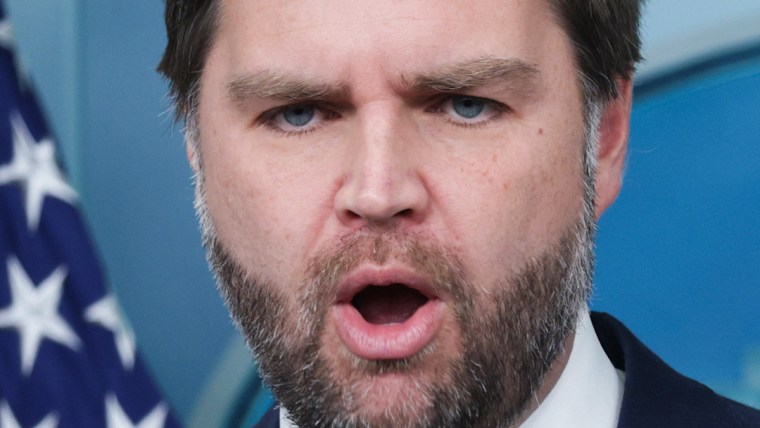 Vance says Minneapolis ICE agent has ‘absolute immunity’插图