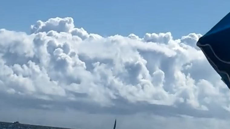 Paraglider survives fall into ocean after malfunction