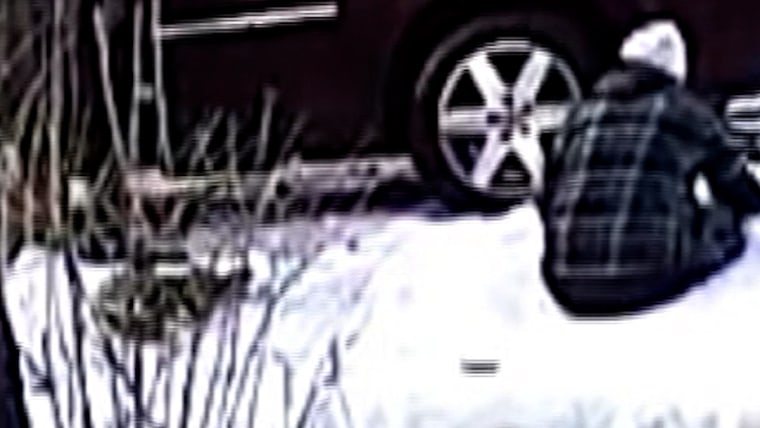 Video captures Renee Good’s car crashing after shooting