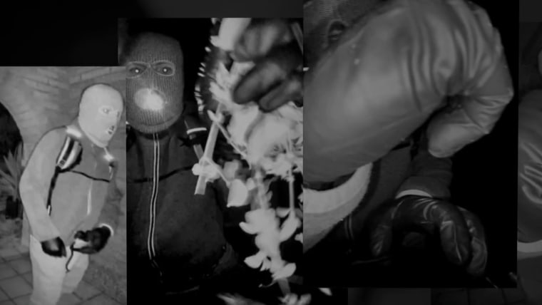 Analyzing images of armed man on Nancy Guthrie’s porch