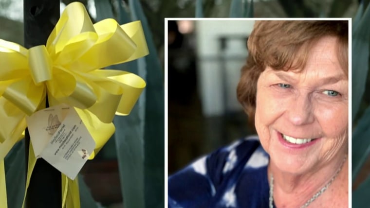 Search for Nancy Guthrie expands after 20 days