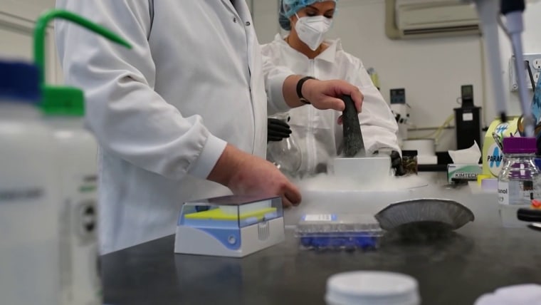 FDA Is Fast-Tracking Three Psychedelic Drugs for Review  www.today.com