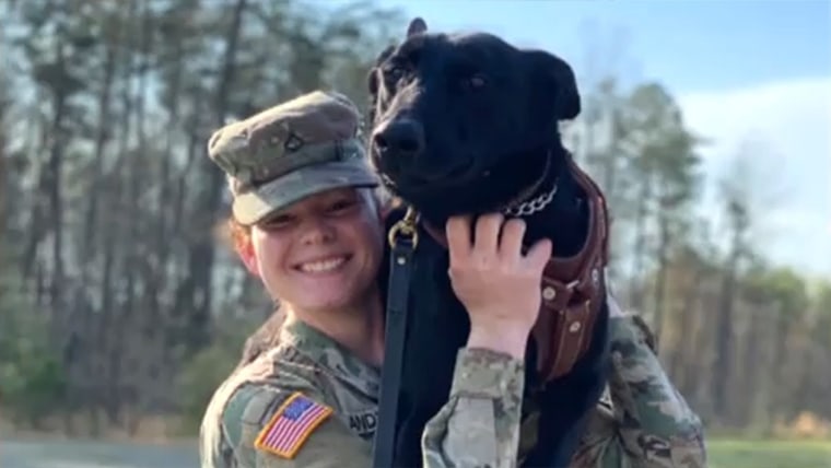 See Army Veteran's Sweet Reunion With Bomb-Sniffing K9 Partner