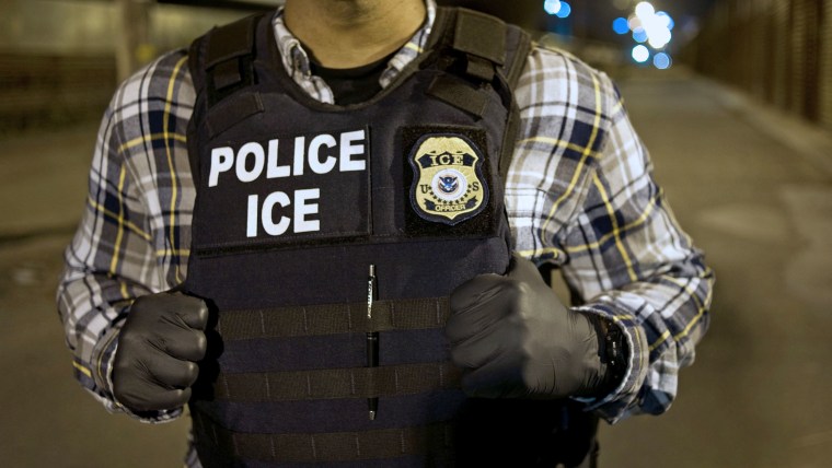 Immigration & Customs Enforcement (ICE) Agents