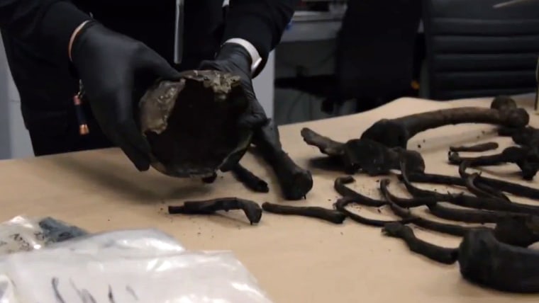 The bones from the coffin displayed on a table