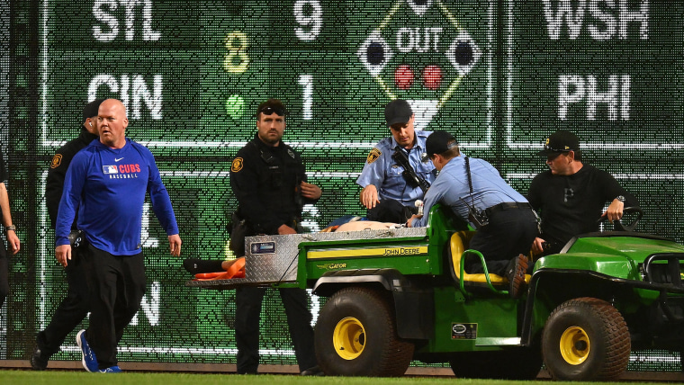Image: Chicago Cubs v Pittsburgh Pirates injury injured fan
