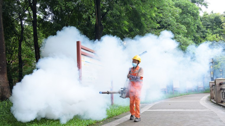 Guangdong Moves Swiftly To Combat Chikungunya